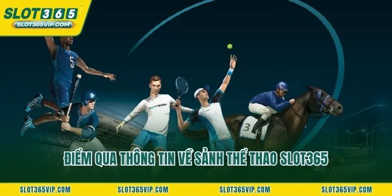 Điểm qua thông tin về sảnh thể thao SLOT365